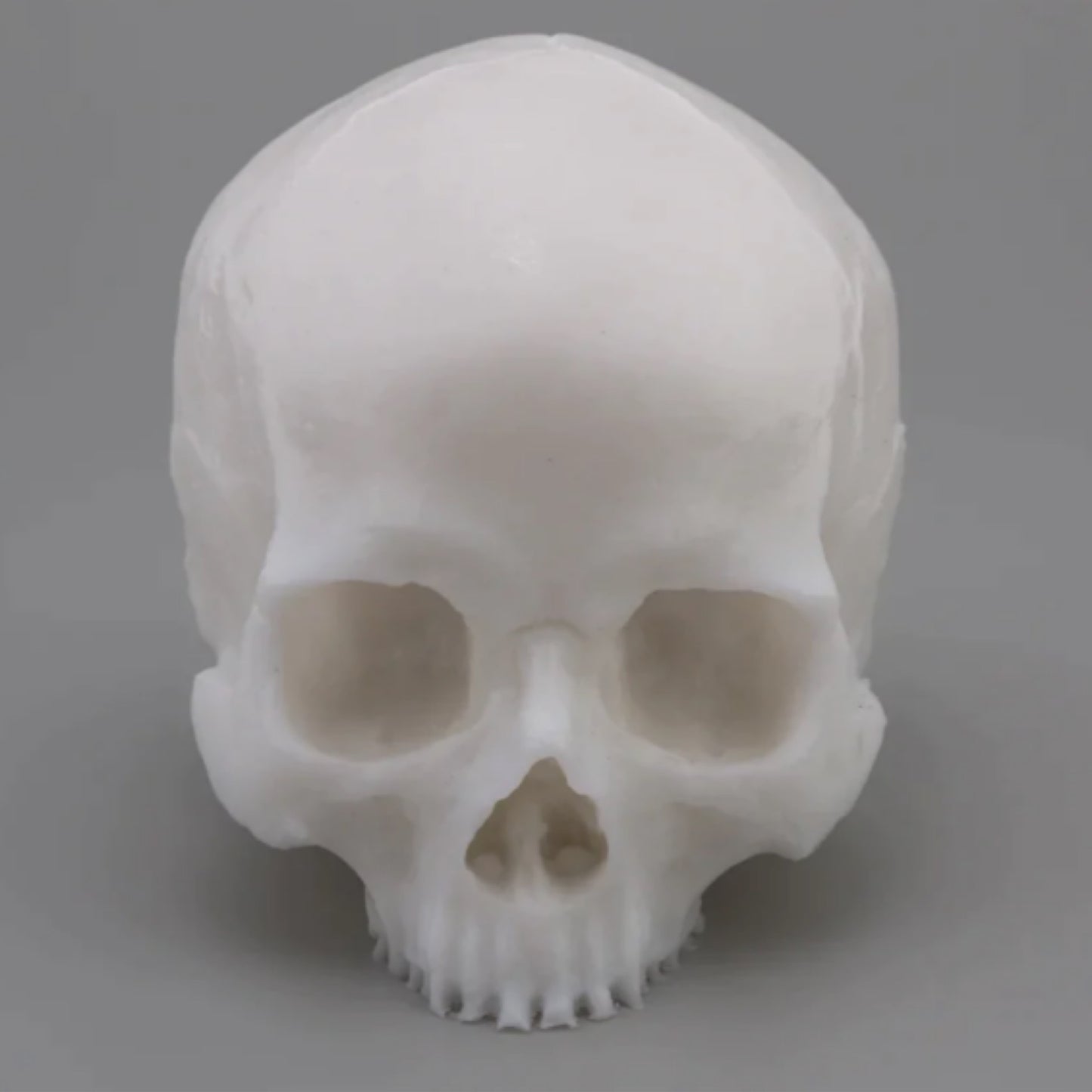 APOF Yorick Skull