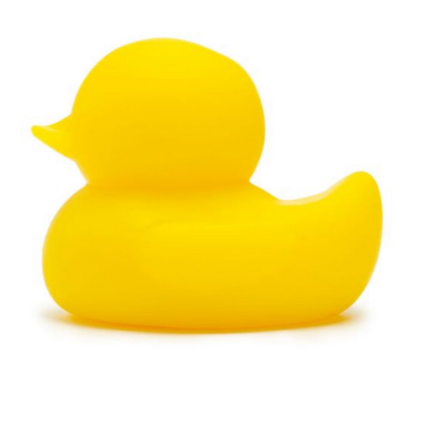 APOF Lucky Ducky